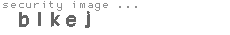 security image