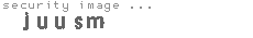 security image