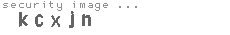 security image