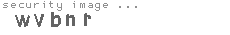 security image