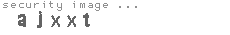 security image