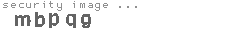 security image