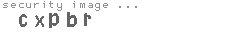 security image