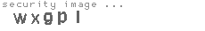 security image