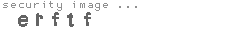 security image