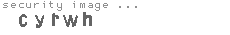 security image