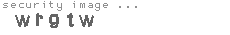 security image