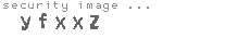 security image