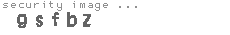 security image