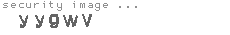 security image