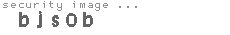 security image
