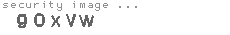 security image