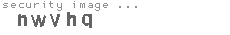 security image