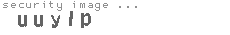 security image