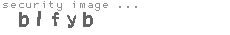 security image