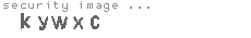 security image