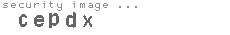 security image
