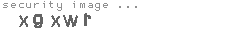 security image