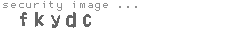 security image