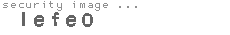 security image