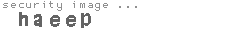 security image