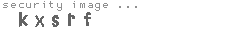 security image