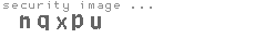 security image