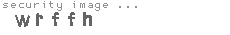 security image