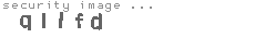 security image
