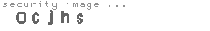 security image