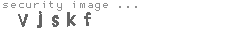 security image