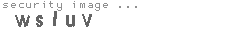 security image