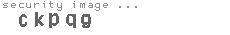 security image