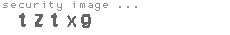 security image
