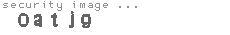 security image