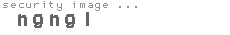 security image