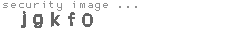 security image