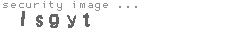security image