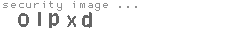 security image