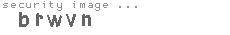 security image