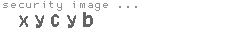 security image