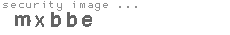 security image