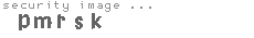 security image