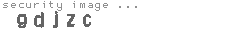 security image