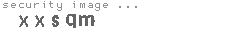 security image