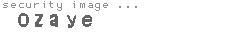 security image