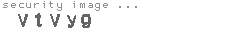 security image