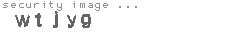 security image