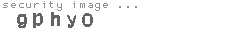 security image