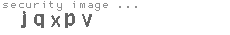 security image